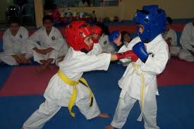 Cursillo de Tecnificaci&oacute;n de Kumite